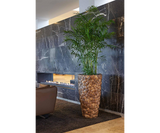 Large coconut floor vase enhancing modern luxury home design.