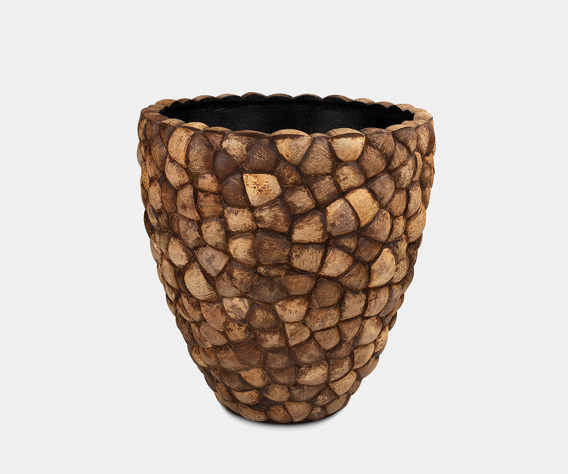 Eco-friendly coconut planter perfect for high-end interior spaces.